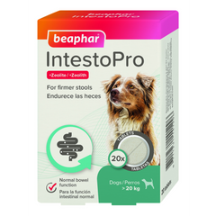 Intestopro Anti Diarrhea Tablet Large Dog 20 Tab