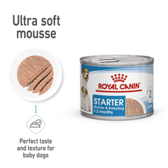 Canine Health Nutrition Starter Mousse (Wet Food - Cans)
