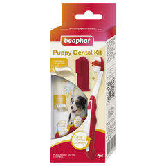 Puppy Dental Kit - 50G