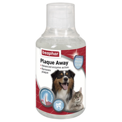 Mouth Wash 250Ml